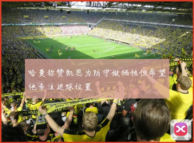 哈曼称赞凯恩为防守做牺牲但希望他专注进球位置