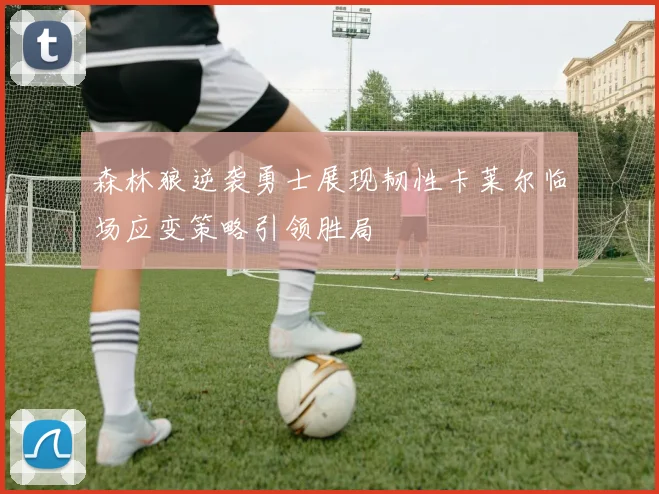 森林狼逆袭勇士展现韧性卡莱尔临场应变策略引领胜局